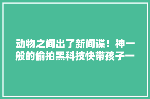 动物之间出了新间谍！神一般的偷拍黑科技快带孩子一路开眼界！