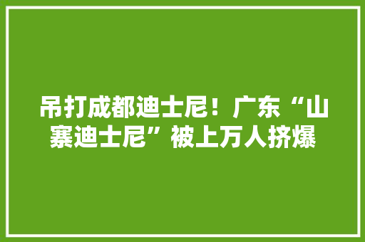吊打成都迪士尼！广东“山寨迪士尼”被上万人挤爆