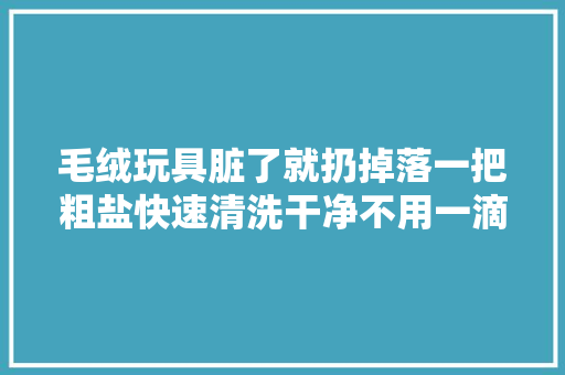 毛绒玩具脏了就扔掉落一把粗盐快速清洗干净不用一滴水