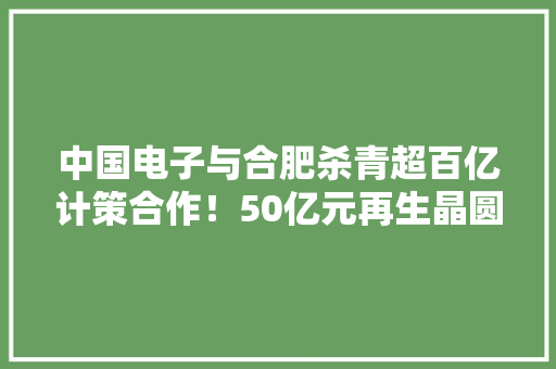 中国电子与合肥杀青超百亿计策合作！50亿元再生晶圆项目落户肥东！