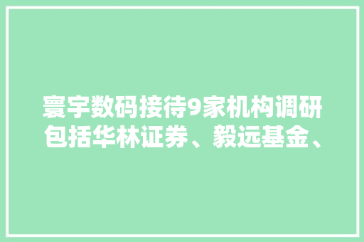 寰宇数码接待9家机构调研包括华林证券、毅远基金、玖鹏资产等