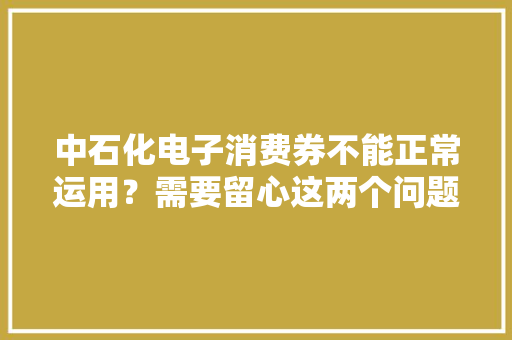 中石化电子消费券不能正常运用？需要留心这两个问题