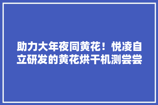 助力大年夜同黄花！悦凌自立研发的黄花烘干机测尝尝验成功