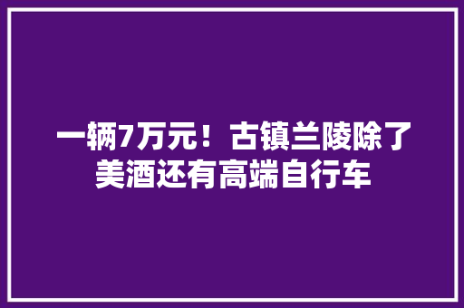 一辆7万元！古镇兰陵除了美酒还有高端自行车