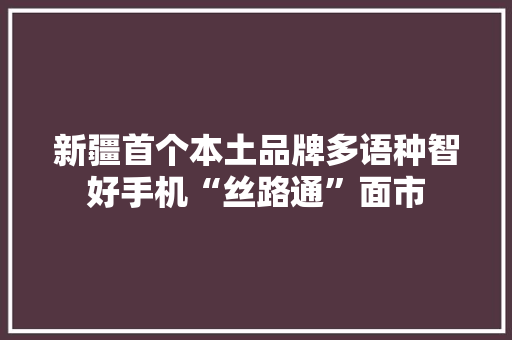 新疆首个本土品牌多语种智好手机“丝路通”面市