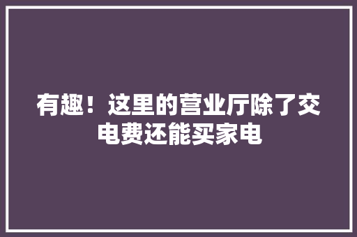 有趣！这里的营业厅除了交电费还能买家电