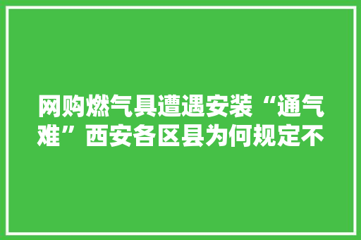 网购燃气具遭遇安装“通气难”西安各区县为何规定不一？