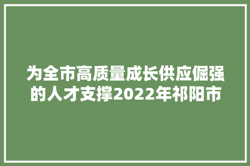 为全市高质量成长供应倔强的人才支撑2022年祁阳市人才工作侧记