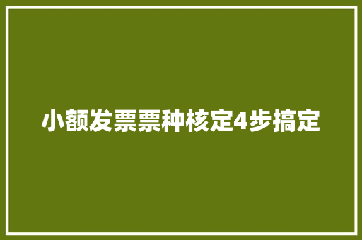 小额发票票种核定4步搞定