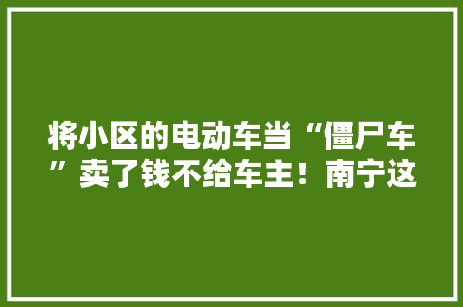 将小区的电动车当“僵尸车”卖了钱不给车主！南宁这个物业公司称是行规,公司地址怎么免费上地图。