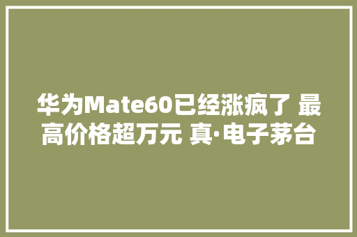 华为Mate60已经涨疯了 最高价格超万元 真·电子茅台？