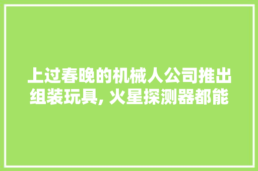 上过春晚的机械人公司推出组装玩具, 火星探测器都能自己做\u2028