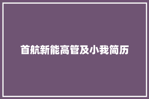 首航新能高管及小我简历