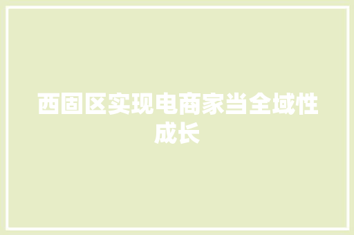 西固区实现电商家当全域性成长