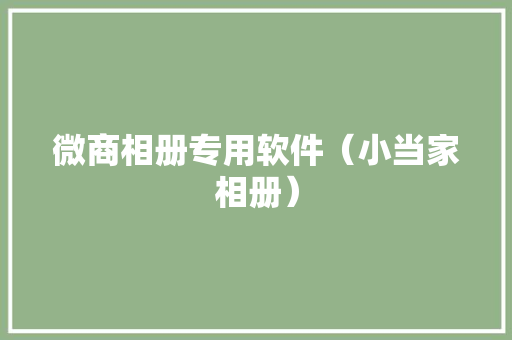 微商相册专用软件（小当家相册）,可以分60期的网贷。