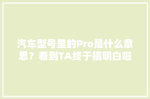 汽车型号里的Pro是什么意思？看到TA终于搞明白啦