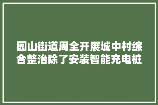 园山街道周全开展城中村综合整治除了安装智能充电桩还……