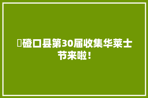 ​磴口县第30届收集华莱士节来啦！