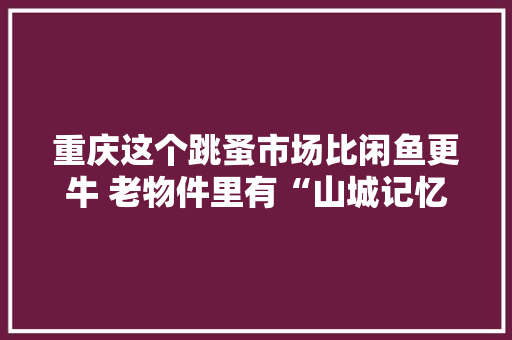 重庆这个跳蚤市场比闲鱼更牛 老物件里有“山城记忆”还能捡漏“尖货”本地人搭客争相打卡