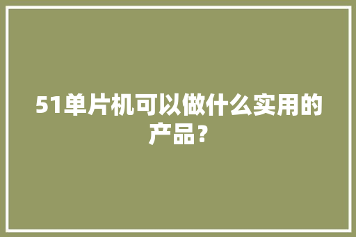 51单片机可以做什么实用的产品？