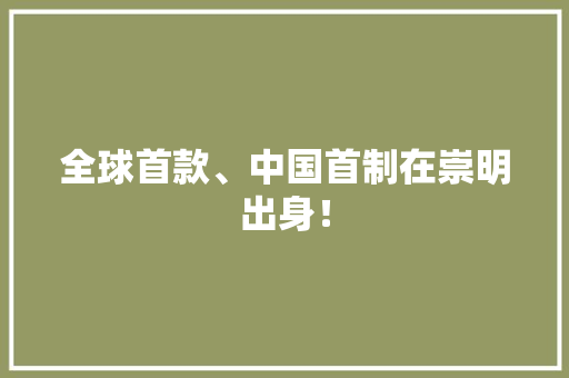 全球首款、中国首制在崇明出身！