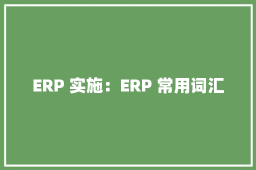 ERP 实施：ERP 常用词汇
