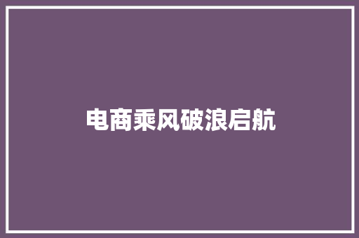 电商乘风破浪启航
