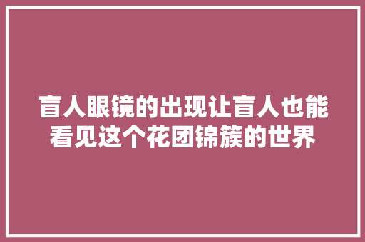 盲人眼镜的出现让盲人也能看见这个花团锦簇的世界
