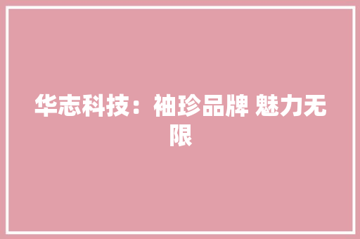 华志科技：袖珍品牌 魅力无限