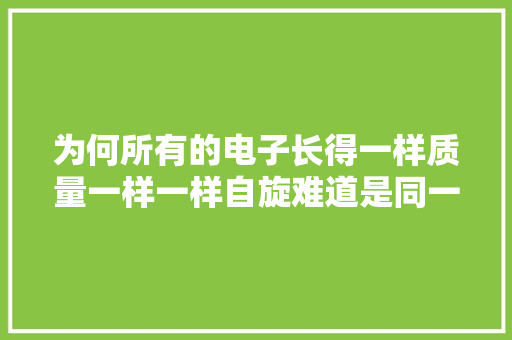 为何所有的电子长得一样质量一样一样自旋难道是同一个！？