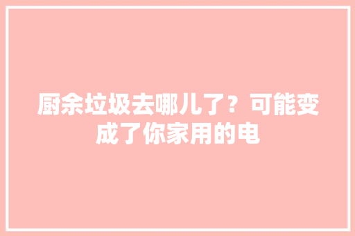 厨余垃圾去哪儿了？可能变成了你家用的电