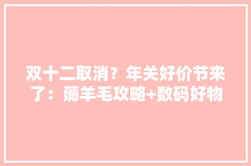 双十二取消？年关好价节来了：薅羊毛攻略+数码好物推荐