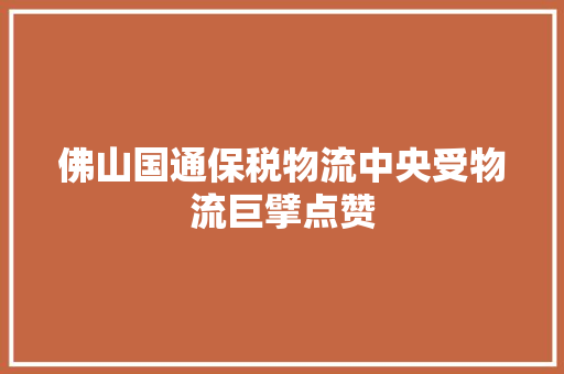佛山国通保税物流中央受物流巨擘点赞