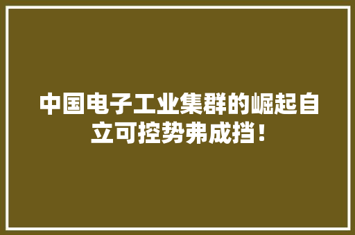 中国电子工业集群的崛起自立可控势弗成挡！