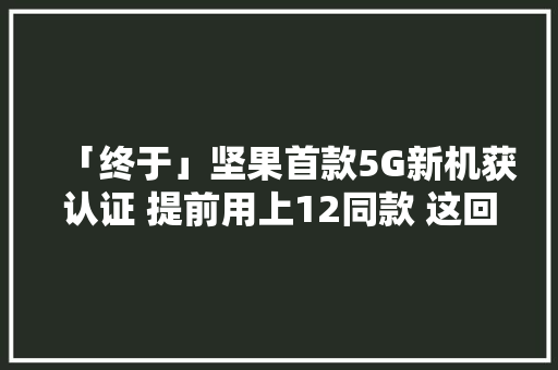 「终于」坚果首款5G新机获认证 提前用上12同款 这回支持吗？,坚果批发。