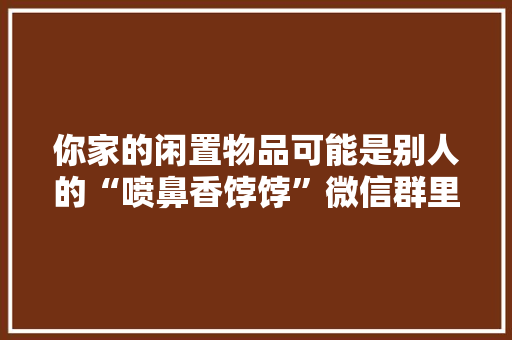 你家的闲置物品可能是别人的“喷鼻香饽饽”微信群里“二手货”交易火爆,物品的英文。