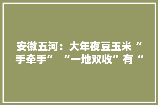 安徽五河：大年夜豆玉米“手牵手” “一地双收”有“赚头”