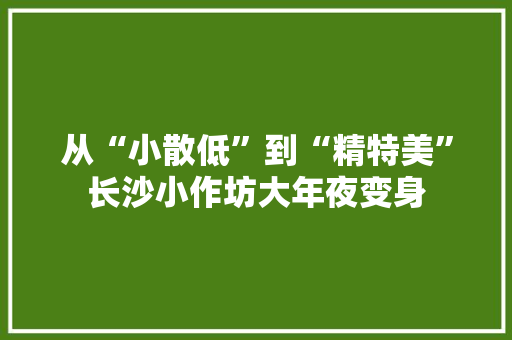 从“小散低”到“精特美”长沙小作坊大年夜变身