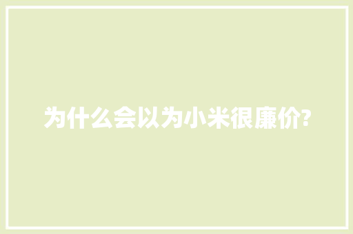 为什么会以为小米很廉价?