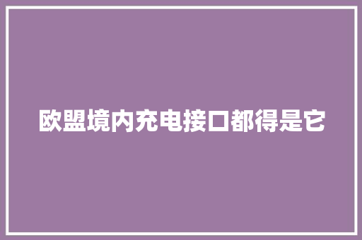 欧盟境内充电接口都得是它