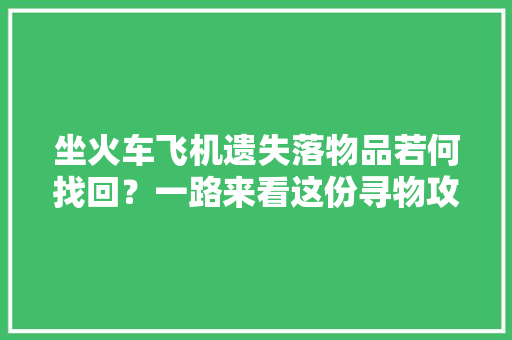 坐火车飞机遗失落物品若何找回？一路来看这份寻物攻略→