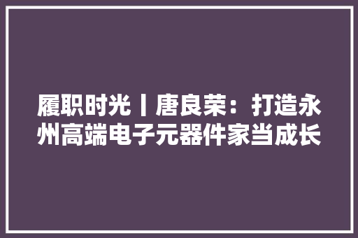 履职时光丨唐良荣：打造永州高端电子元器件家当成长新高地