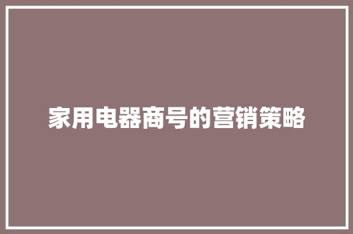 家用电器商号的营销策略