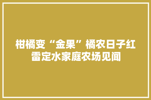 柑橘变“金果”橘农日子红雷定水家庭农场见闻