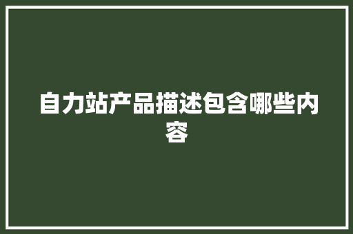自力站产品描述包含哪些内容