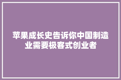 苹果成长史告诉你中国制造业需要极客式创业者