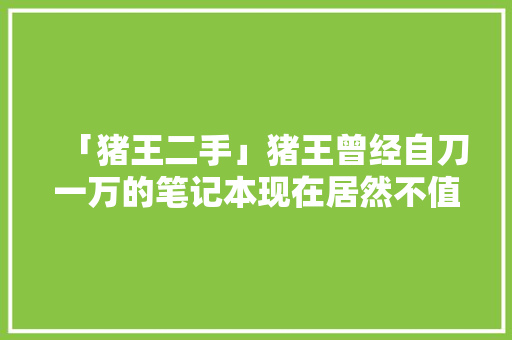 「猪王二手」猪王曾经自刀一万的笔记本现在居然不值一万