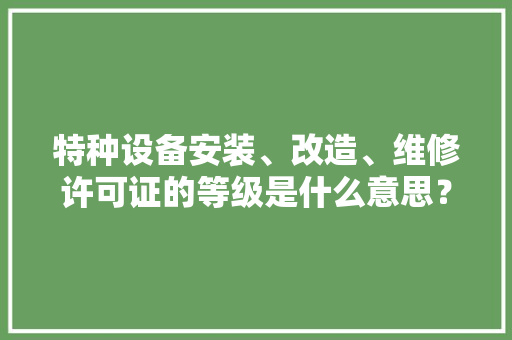 特种设备安装、改造、维修许可证的等级是什么意思？