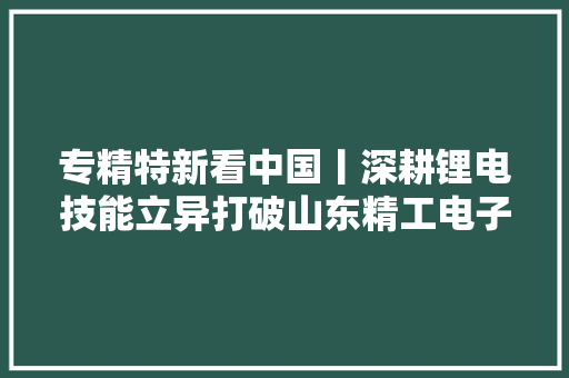 专精特新看中国丨深耕锂电技能立异打破山东精工电子