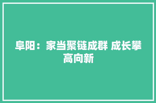 阜阳：家当聚链成群 成长攀高向新